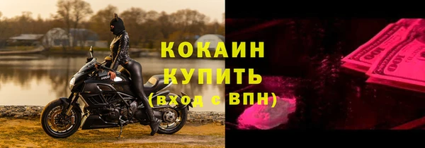 стаф Козельск
