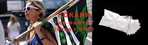стаф Козельск