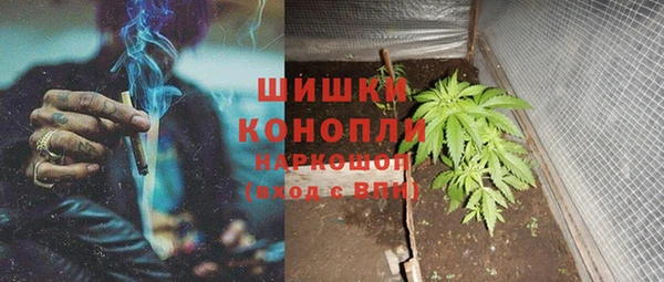 стаф Козельск