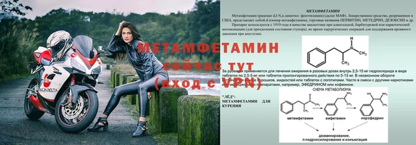 стаф Козельск
