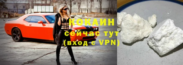 стаф Козельск